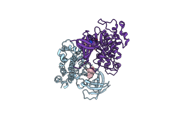 5KPM image