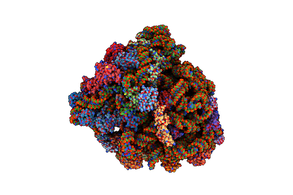5KPS image