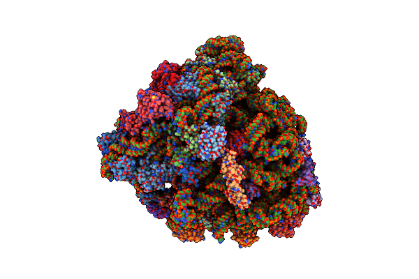 5KPV image