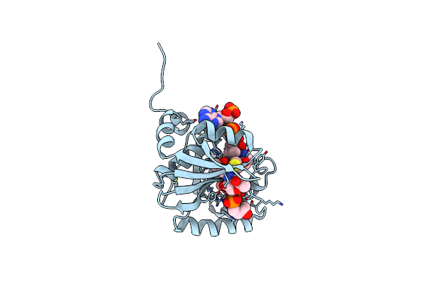 5KTC image