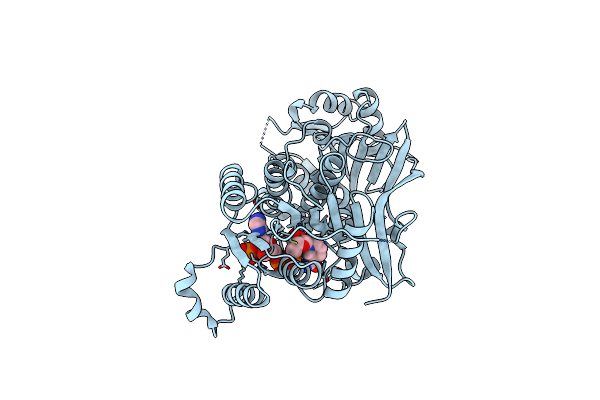 5KTK image