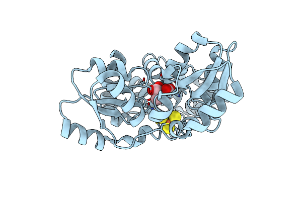 5KTP image