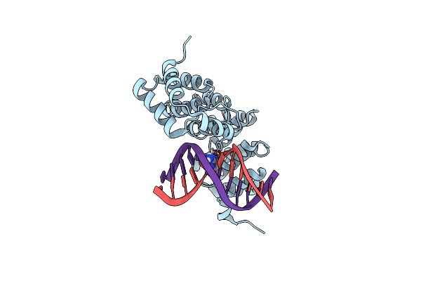 5KUB image