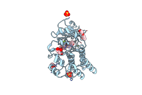 5KUP image