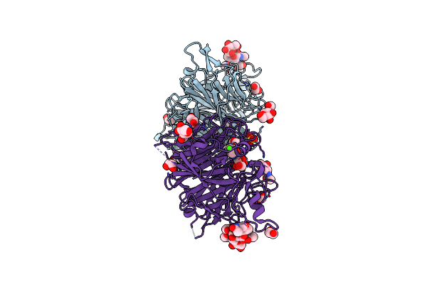 5KV8 image