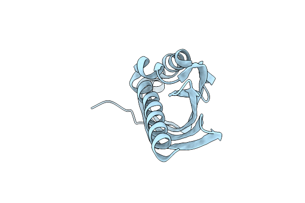 5KVB image