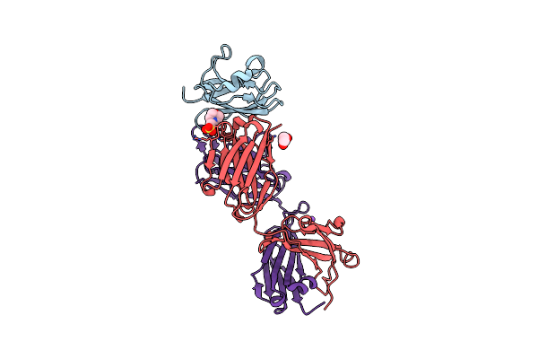 5KVD image