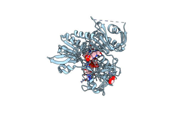 5KVI image