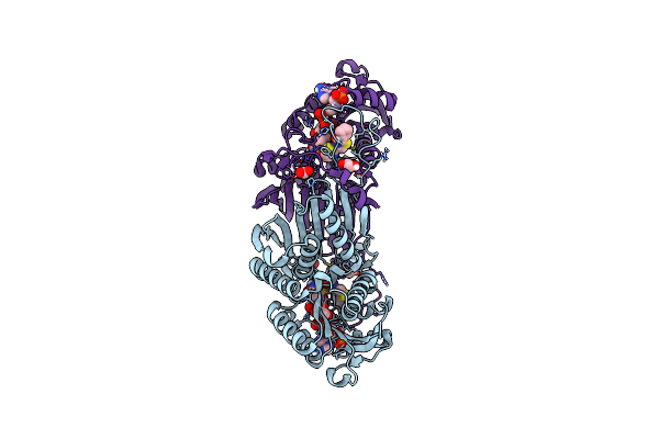 5KVS image