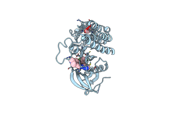 5KVT image