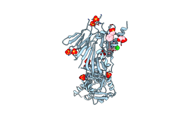 5KWW image