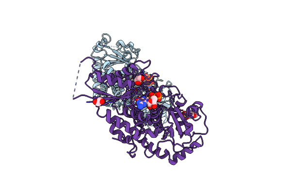 5KX6 image