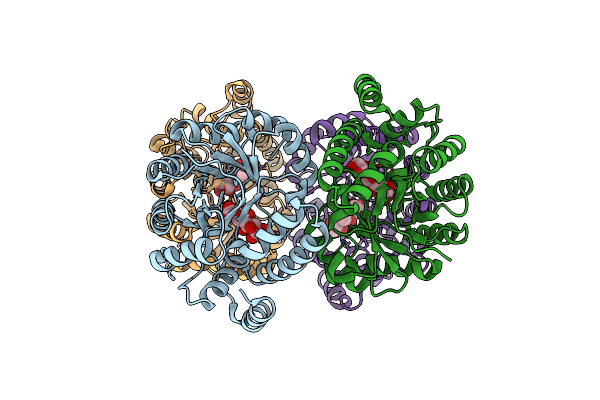 5KZD image