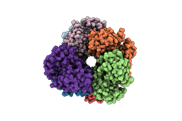 5L08 image