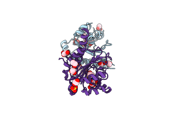 5L09 image