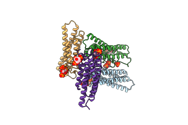 5L0C image