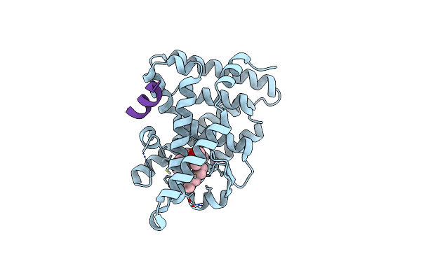 5L11 image