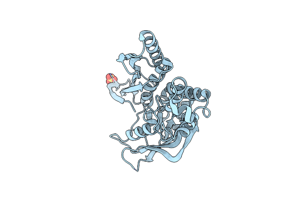 5L16 image