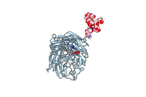 5L17 image