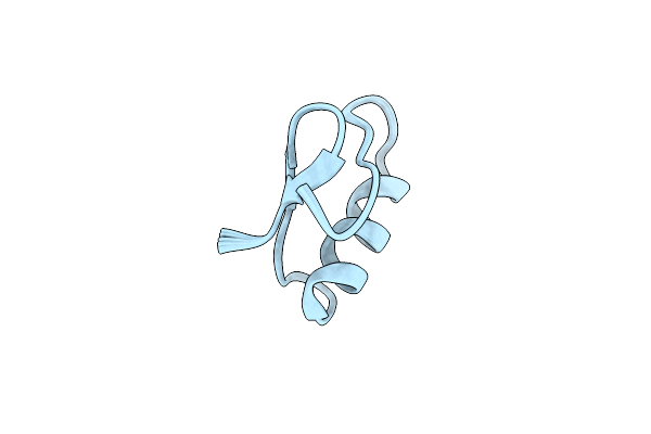5L1C image