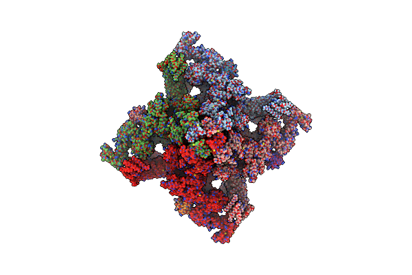 5L1D image
