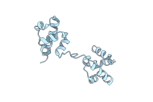 5L1M image