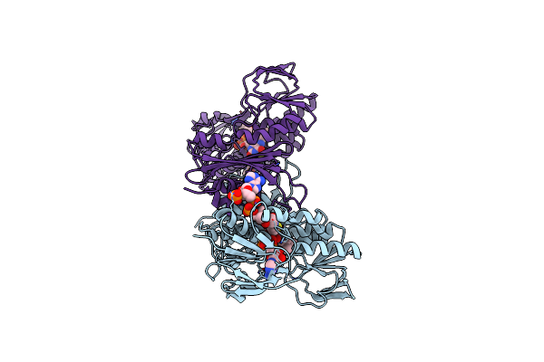 5L1N image