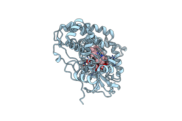5L1Q image