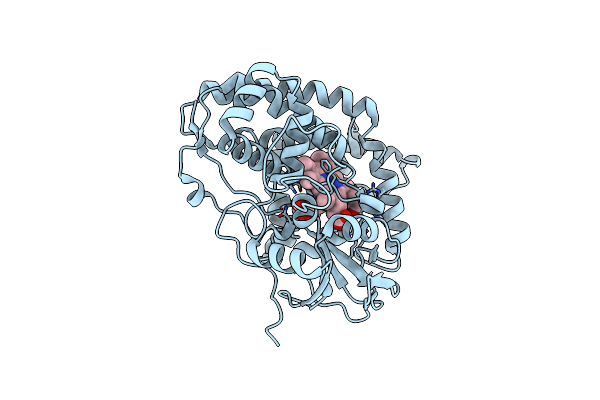 5L1R image
