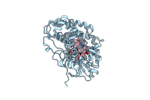 5L1S image