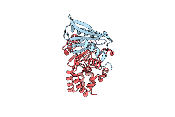 5L20 image
