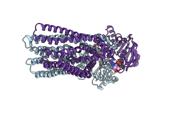 5L22 image
