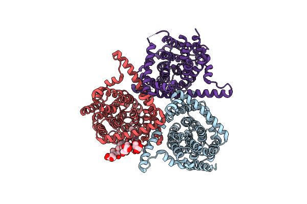 5L24 image
