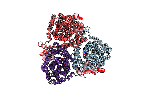 5L26 image