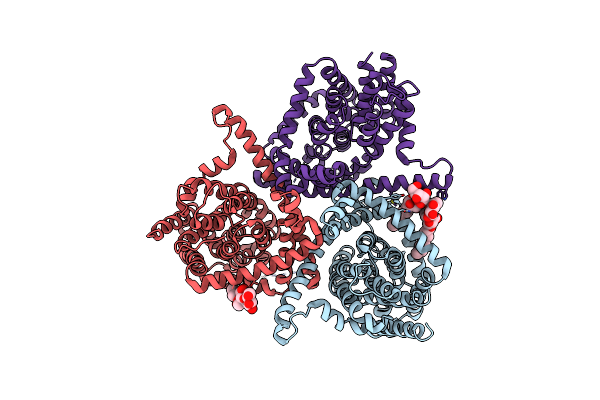5L2B image