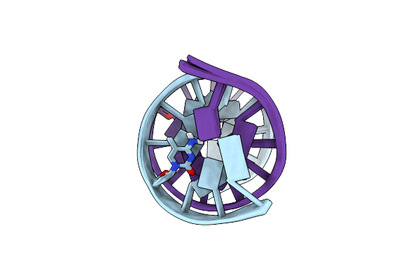 5L2G image