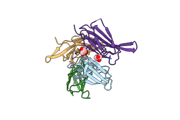 5L2H image