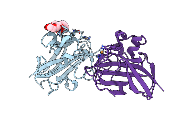 5L2V image