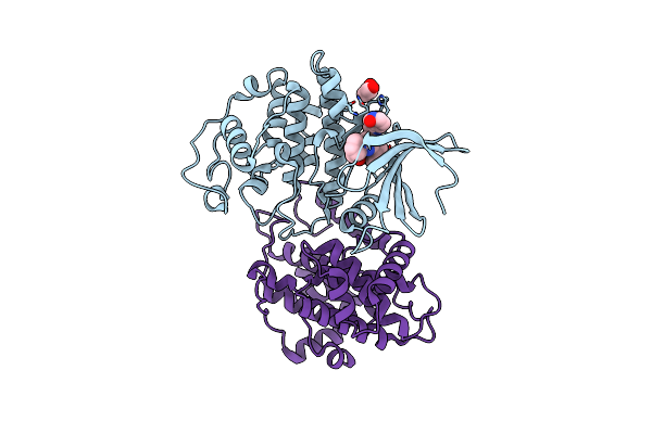 5L2W image