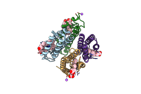 5L31 image