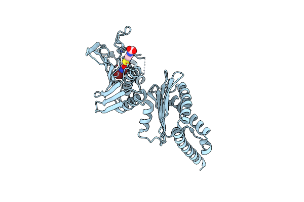 5L3J image