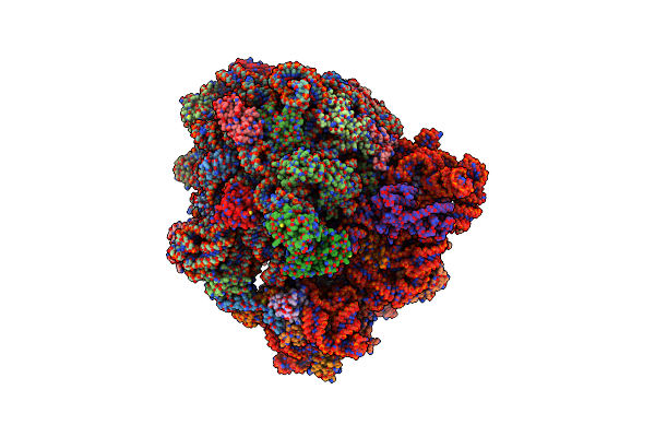 5L3P image