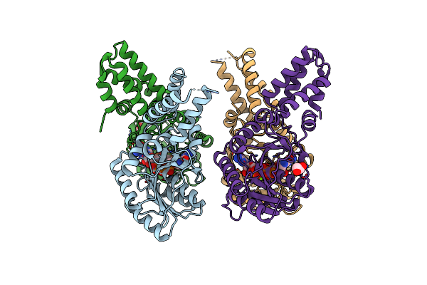 5L3R image