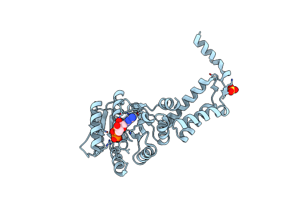 5L3W image