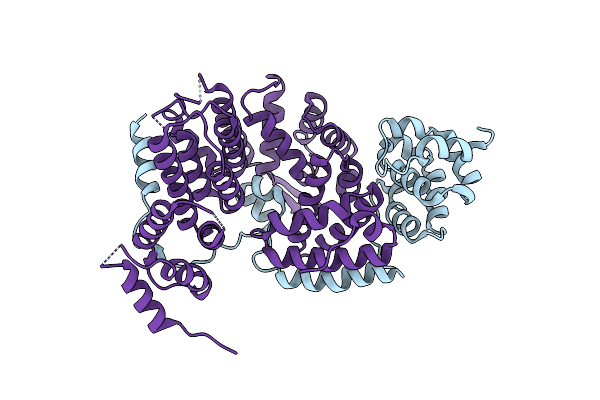 5L3X image