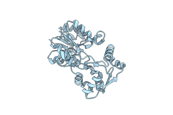 5L40 image