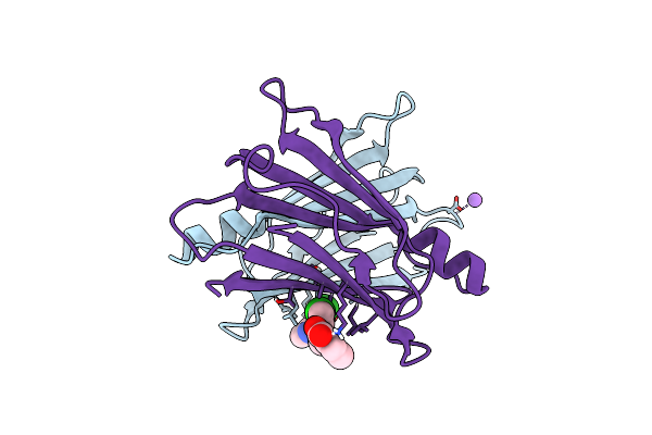 5L4I image