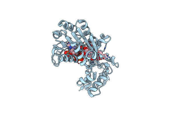 5L4L image
