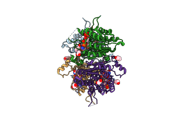 5L4N image