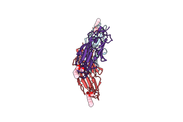 5L4V image